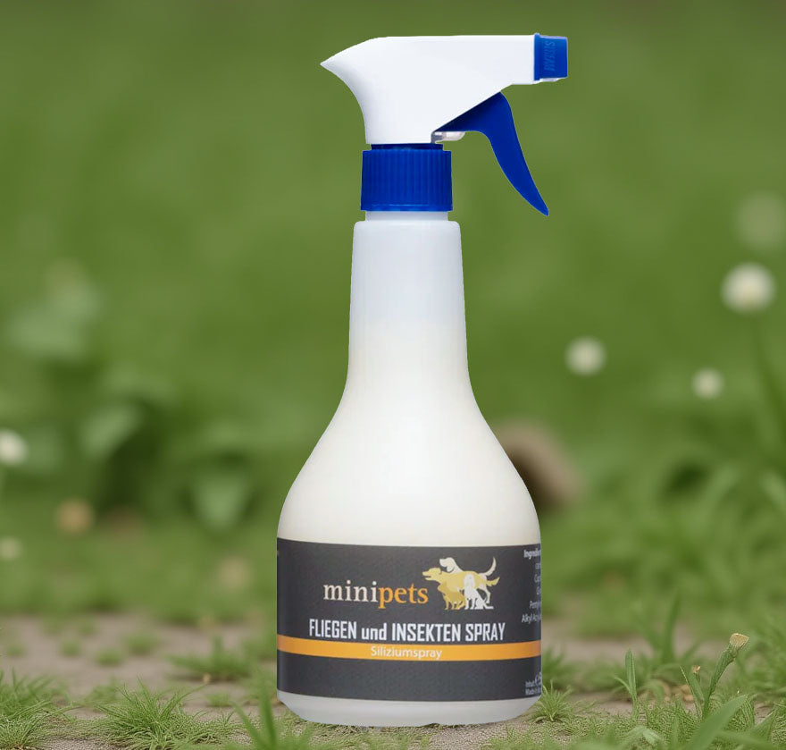 Fliegen- & Insektenspray